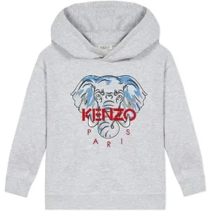 Boys Grey Elephant Hoodie