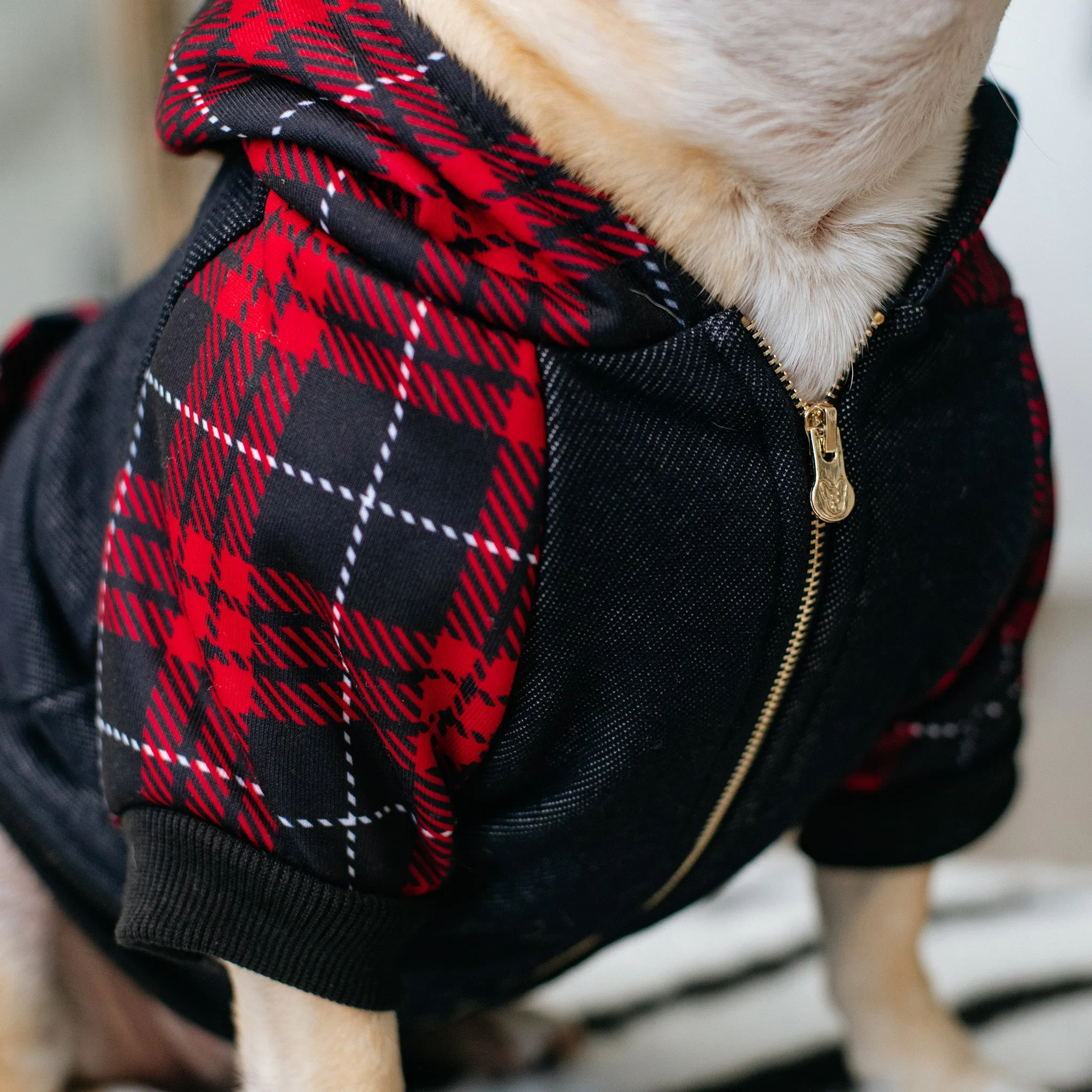 Frenchie Dog Hoodie - Red Tartan