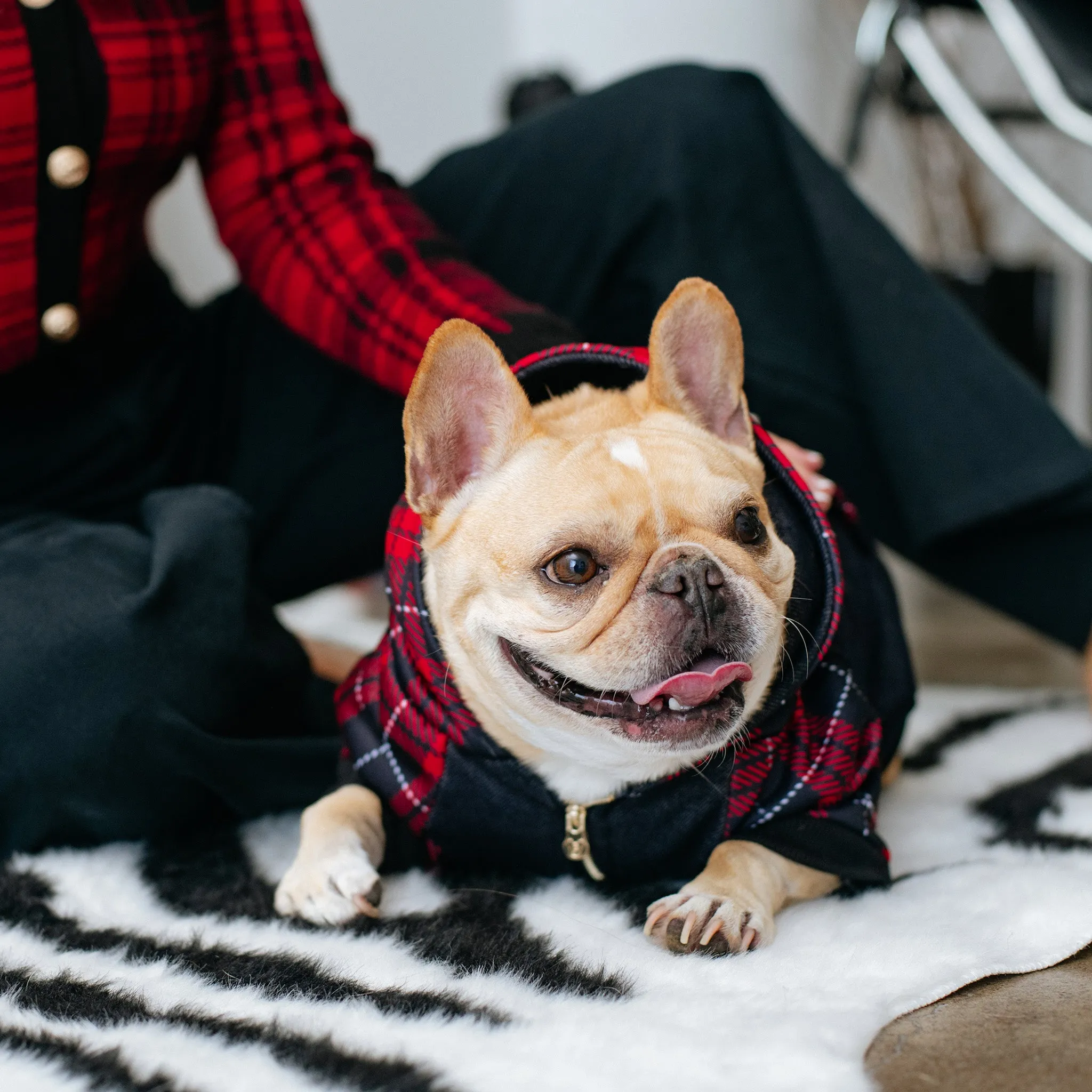 Frenchie Dog Hoodie - Red Tartan